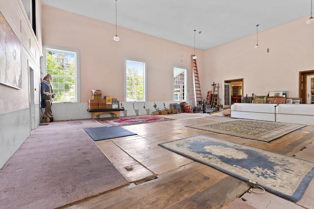 miscellaneous room featuring a towering ceiling