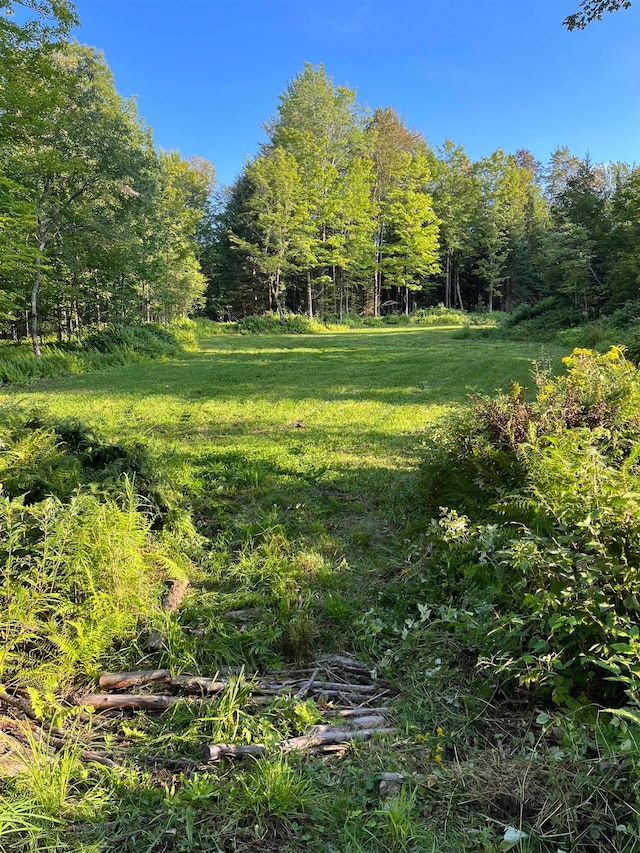 849 Mount Bess Rd, Charleston, VT 05872 - view of yard featuring a view of trees