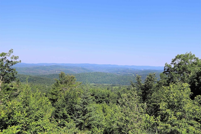 441 Tower Rd, Barnet, VT 05821 - view of mountain backdrop with a forest