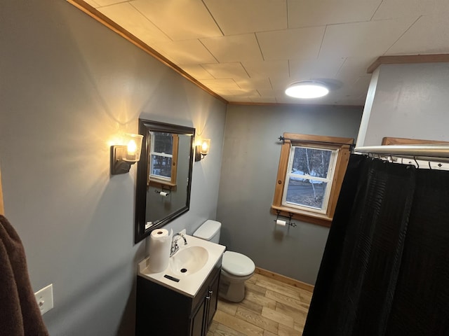 full bath featuring toilet, wood finished floors, and vanity