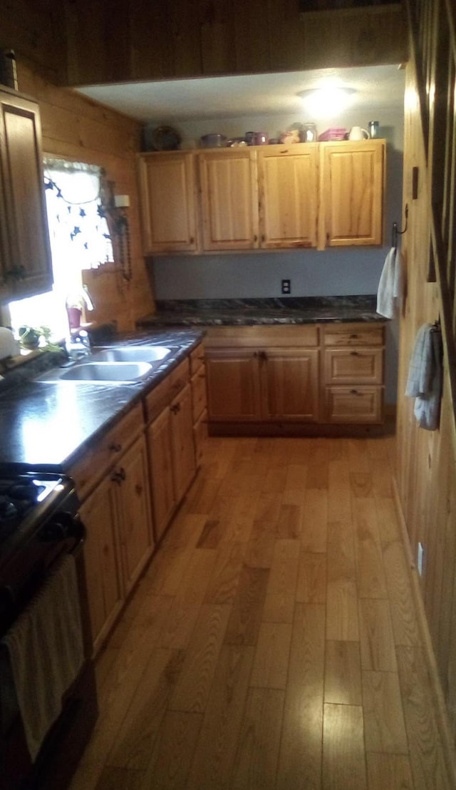 kitchen with light wood-type flooring, a sink, and dark countertops