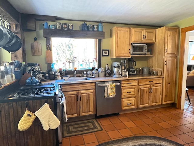 kitchen featuring tile patterned floors, appliances with stainless steel finishes, a sink, and a healthy amount of sunlight