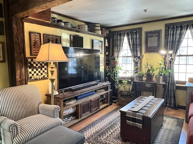 living room with a wealth of natural light