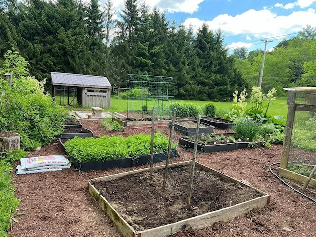 view of yard with an outbuilding and a vegetable garden