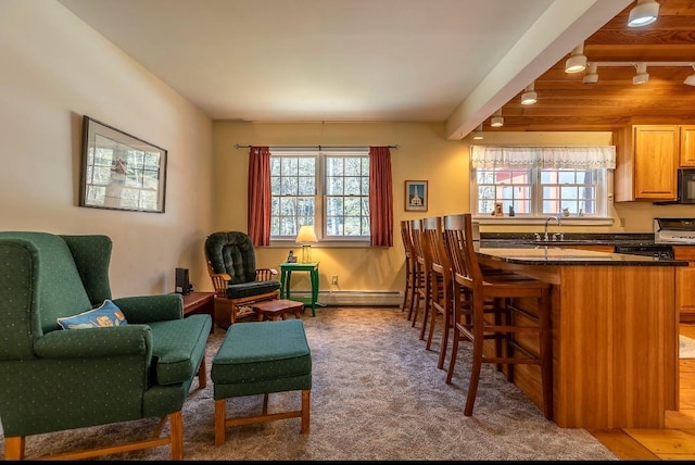 interior space featuring beamed ceiling, a baseboard radiator, and carpet flooring