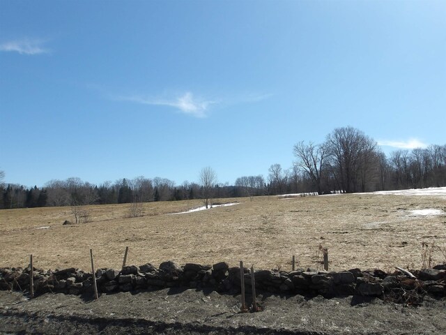 view of yard featuring a rural view