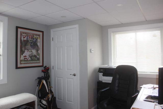office featuring baseboards, a drop ceiling, and a healthy amount of sunlight