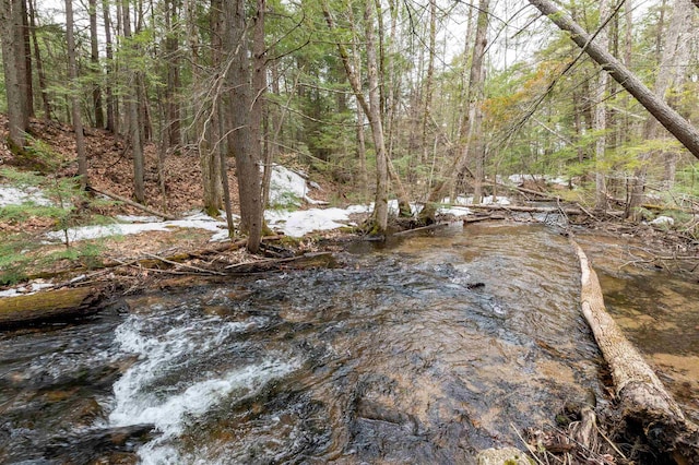 view of local wilderness featuring a wooded view