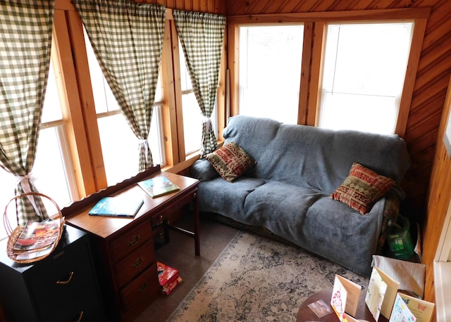 living area with carpet floors and a wealth of natural light