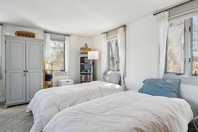 carpeted bedroom with multiple windows
