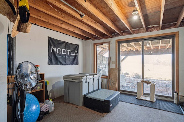 interior space with carpet