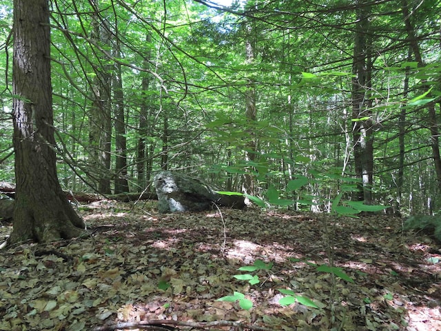 LOTS134-135 Wendy Dr, Alton, NH 03810