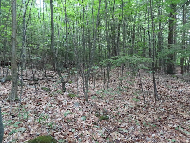 LOTS134-135 Wendy Dr, Alton, NH 03810