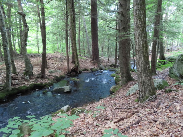 LOTS134-135 Wendy Dr, Alton, NH 03810