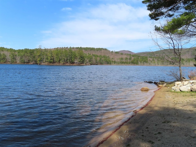 LOTS134-135 Wendy Dr, Alton, NH 03810