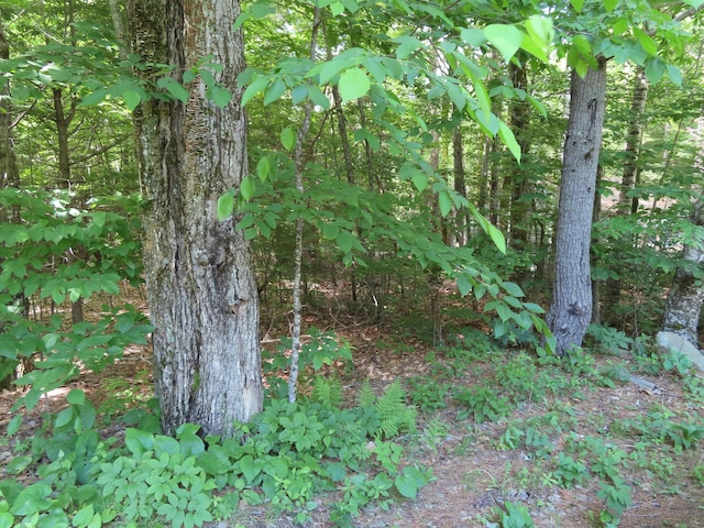 LOTS134-135 Wendy Dr, Alton, NH 03810