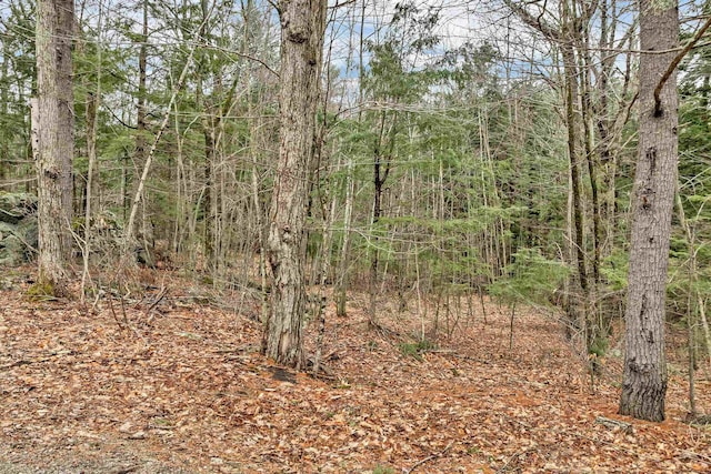 LOTS134-135 Wendy Dr, Alton, NH 03810