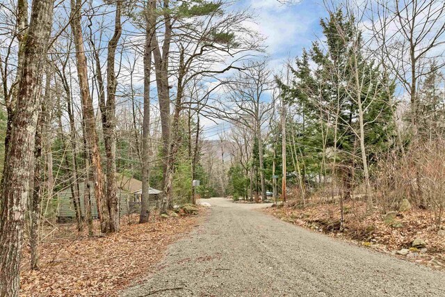 LOTS134-135 Wendy Dr, Alton, NH 03810