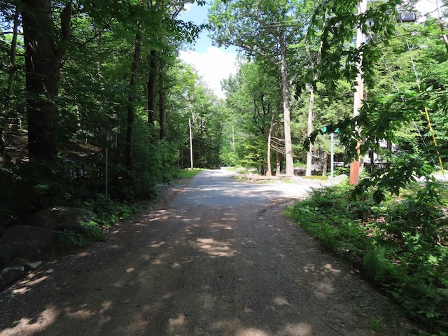 LOTS134-135 Wendy Dr, Alton, NH 03810