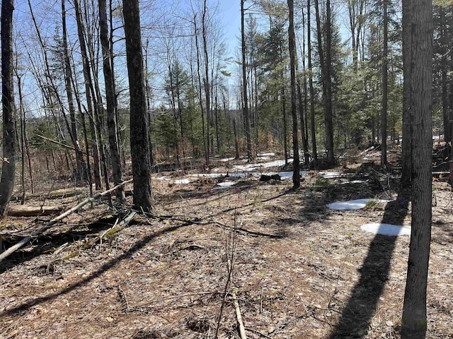 0 Blodgett Rd, Lowell, VT 05847