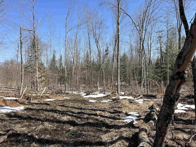0 Blodgett Rd, Lowell, VT 05847