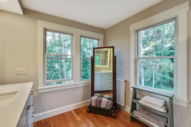 interior space with a wealth of natural light, light wood finished floors, radiator, and baseboards