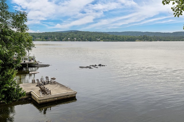 water view featuring a view of trees and a floating dock