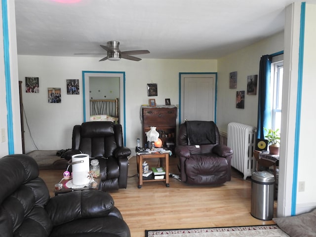 living room featuring ceiling fan, radiator, and wood finished floors