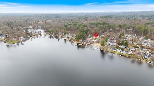 117A Chases Grove Rd, Derry, NH 03038 - bird's eye view with a view of trees and a water view