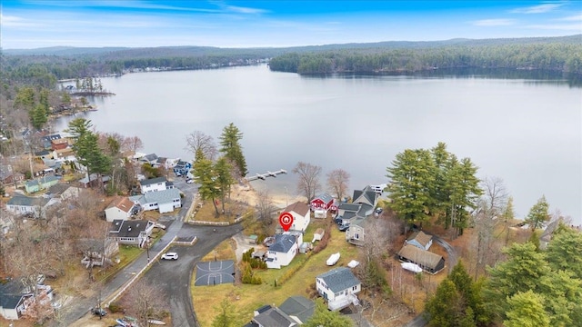117A Chases Grove Rd, Derry, NH 03038 - birds eye view of property featuring a wooded view, a residential view, and a water view
