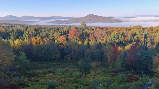 195 Curtis Rd, Morgan, VT 05853 - view of mountain backdrop with a forest