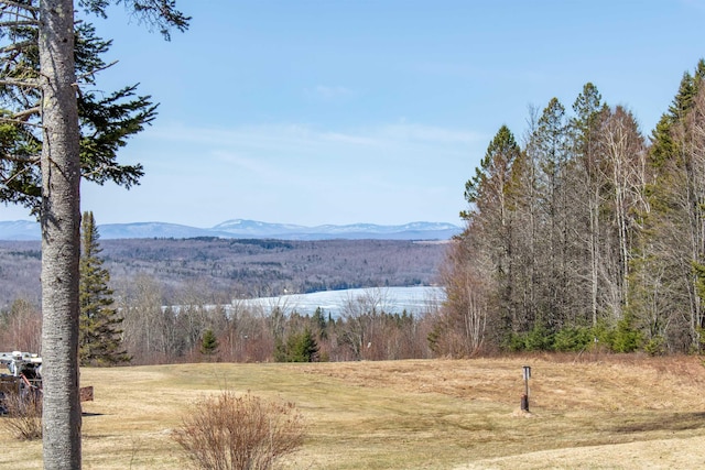 195 Curtis Rd, Morgan, VT 05853 - view of mountain backdrop featuring a forest
