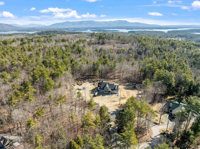 birds eye view of property with a wooded view and a mountain view