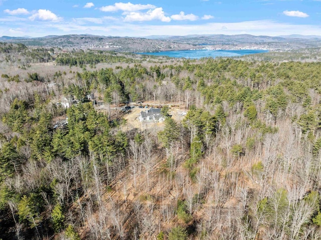 drone / aerial view featuring a water and mountain view and a forest view