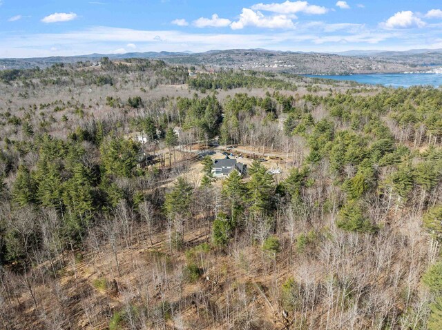 birds eye view of property featuring a forest view and a water and mountain view