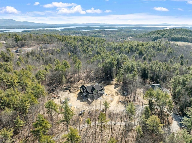 drone / aerial view with a view of trees and a water and mountain view