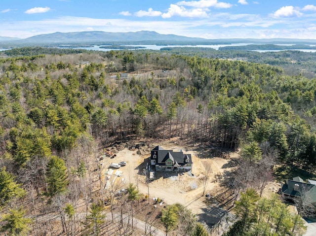 drone / aerial view with a mountain view and a forest view