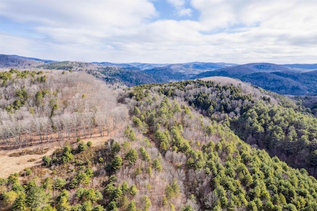00 Russell Rd, Tunbridge, VT 05077