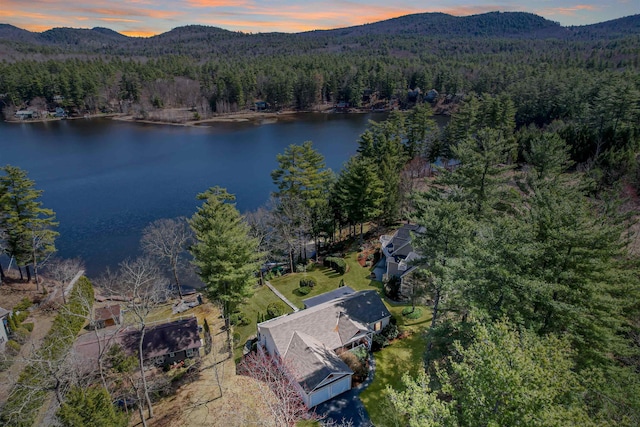 bird's eye view with a forest view and a water and mountain view