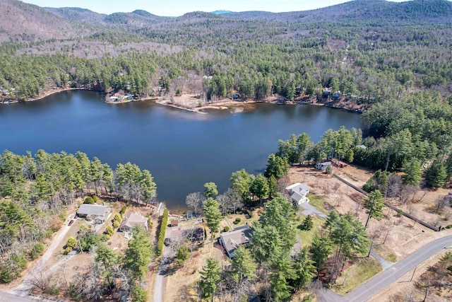 birds eye view of property with a view of trees and a water and mountain view