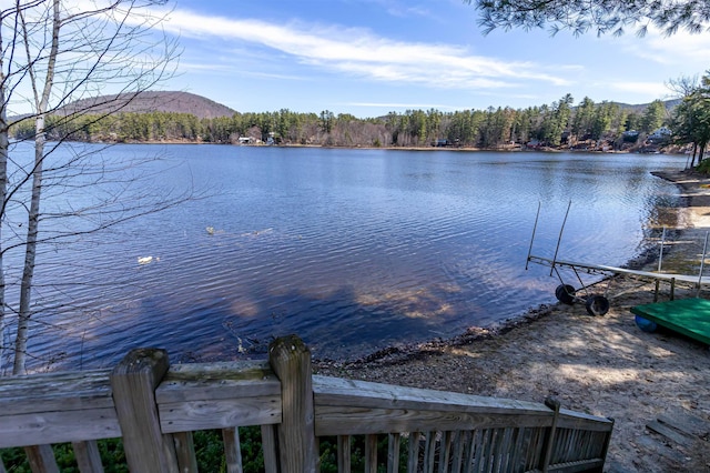 dock area with a water and mountain view