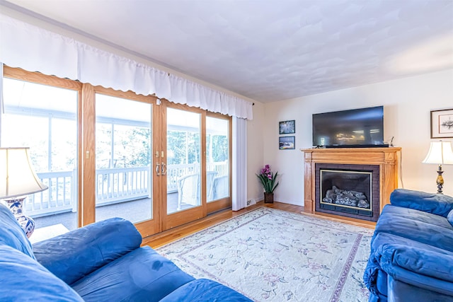living area featuring wood finished floors and a fireplace