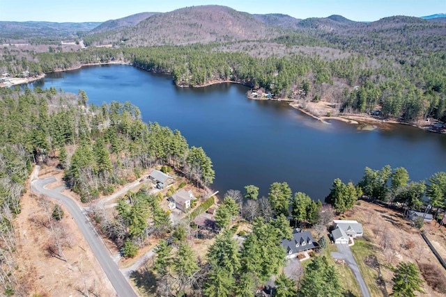 birds eye view of property featuring a view of trees and a water and mountain view