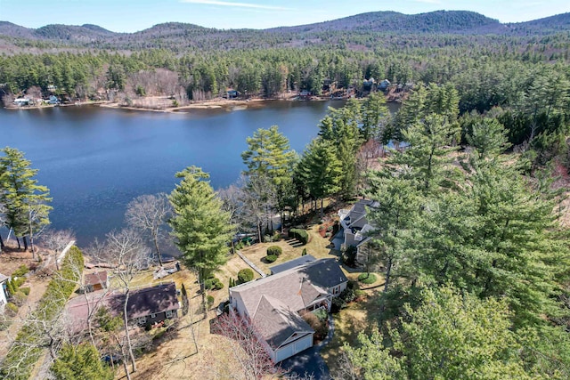 drone / aerial view featuring a wooded view and a water and mountain view