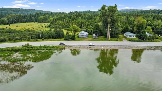 drone / aerial view with a water view and a forest view