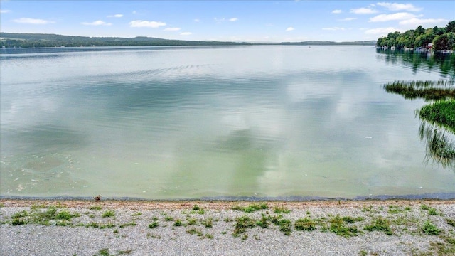 view of water feature