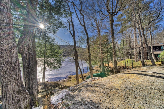 property view of water
