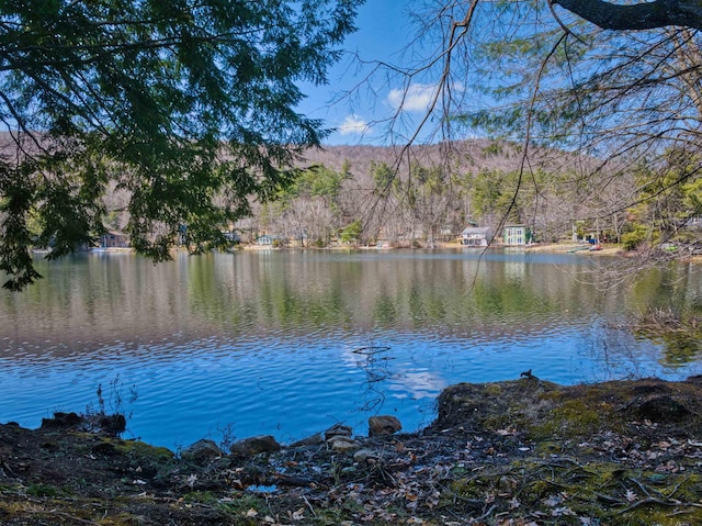 water view