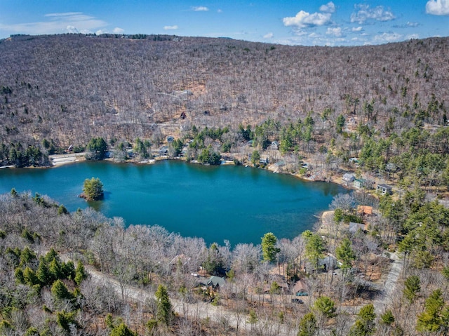 birds eye view of property with a forest view and a water view