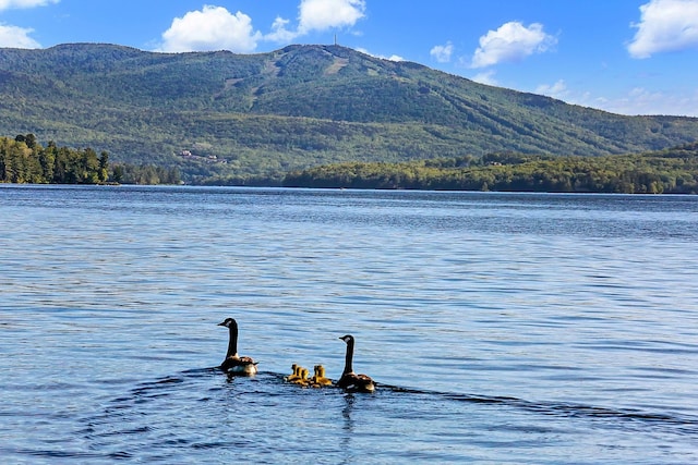 property view of water with a mountain view